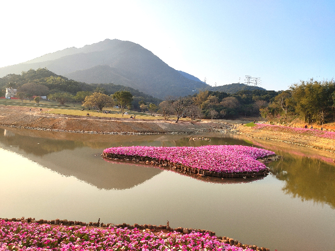 濕地公園.jpg