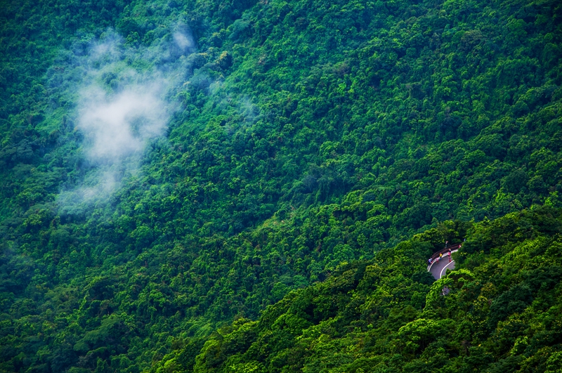 《天然氧吧梧桐山》，鄧飛.jpg